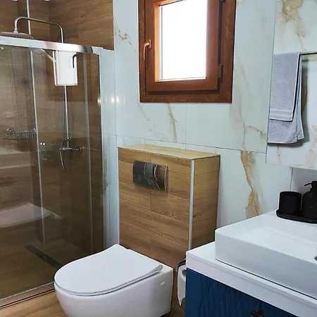Vila Helvetia Luxury Pool Kriopigi